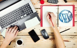 Programador WordPress trabalha como freelancer profissional