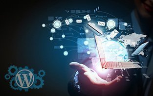 Um Desenvolvedor WordPress oferecendo soluções tecnológicas